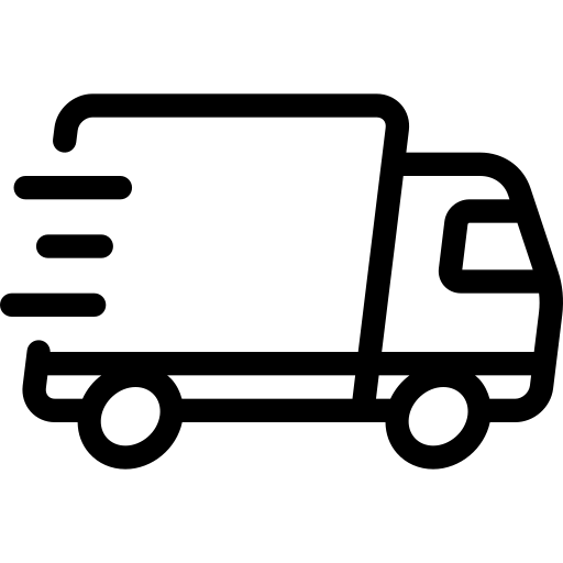 Express Delivery Icon